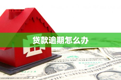 米东贷款逾期怎么办