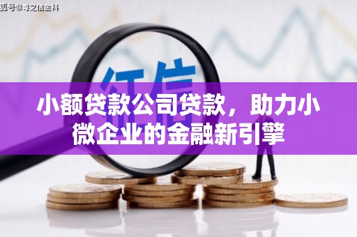 米东小额贷款公司贷款，助力小微企业的金融新引擎