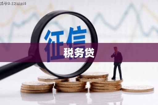 米东税务贷