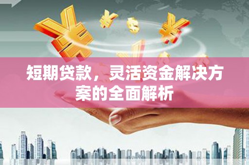 米东短期贷款，灵活资金解决方案的全面解析