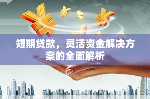 米东短期贷款，灵活资金解决方案的全面解析
