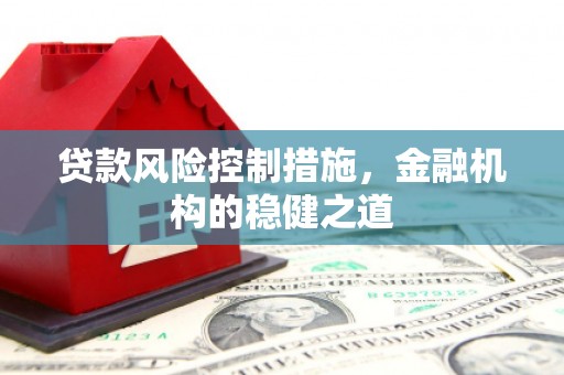 米东贷款风险控制措施，金融机构的稳健之道