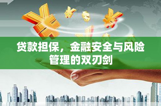 米东贷款担保，金融安全与风险管理的双刃剑
