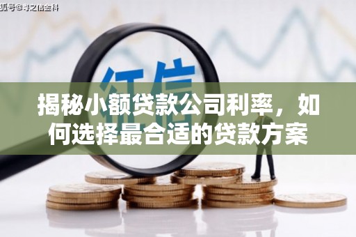 米东揭秘小额贷款公司利率，如何选择最合适的贷款方案