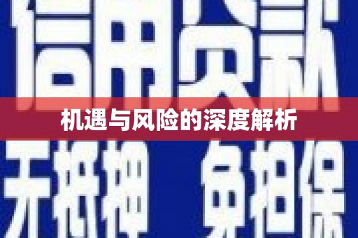 米东机遇与风险的深度解析