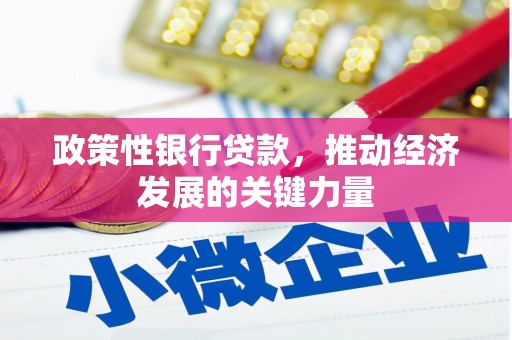 米东政策性银行贷款，推动经济发展的关键力量
