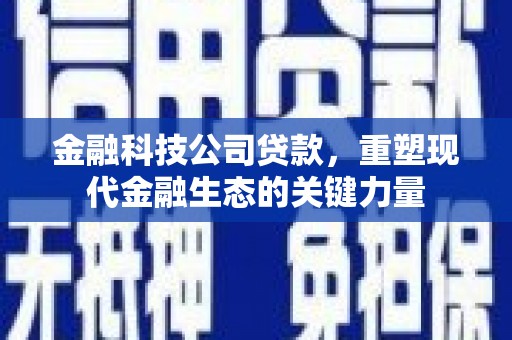 米东金融科技公司贷款，重塑现代金融生态的关键力量