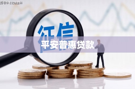 米东平安普惠贷款