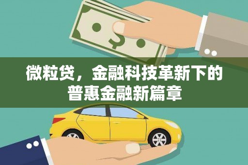 米东微粒贷，金融科技革新下的普惠金融新篇章