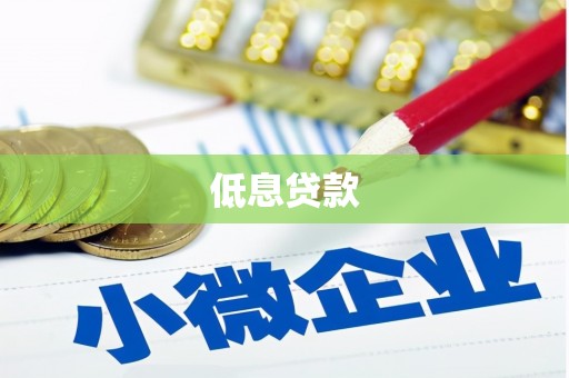 米东低息贷款