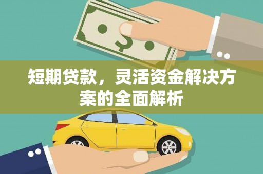 米东短期贷款，灵活资金解决方案的全面解析