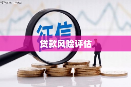 米东贷款风险评估
