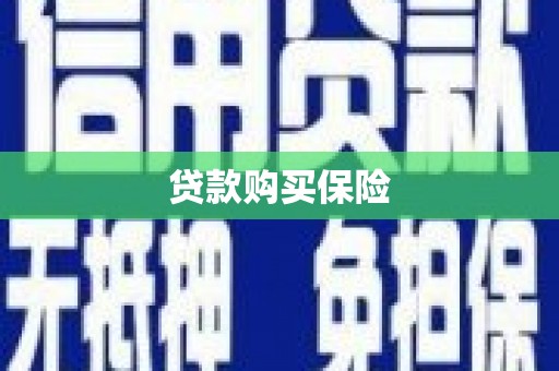 米东贷款购买保险