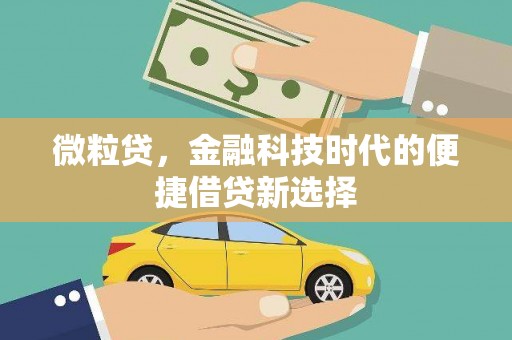 米东微粒贷，金融科技时代的便捷借贷新选择