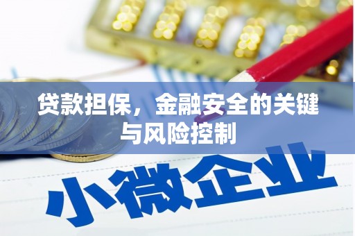 米东贷款担保，金融安全的关键与风险控制
