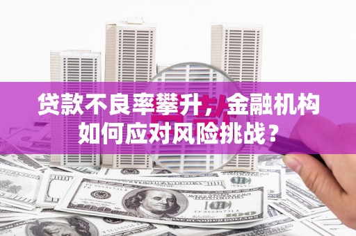 米东贷款不良率攀升，金融机构如何应对风险挑战？