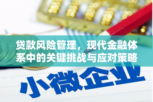 米东贷款风险管理，现代金融体系中的关键挑战与应对策略