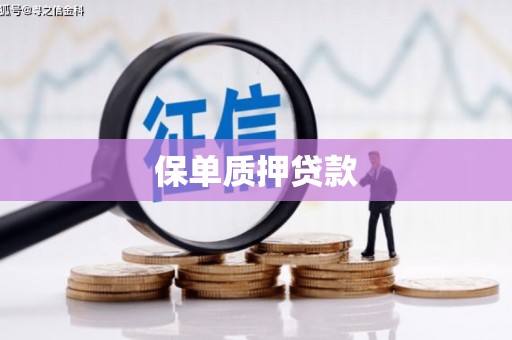 米东保单质押贷款