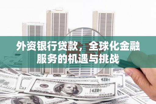 米东外资银行贷款，全球化金融服务的机遇与挑战