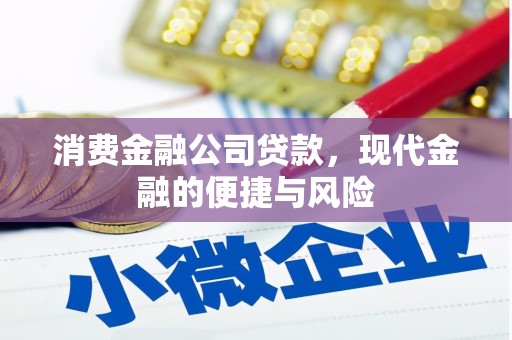 米东消费金融公司贷款，现代金融的便捷与风险