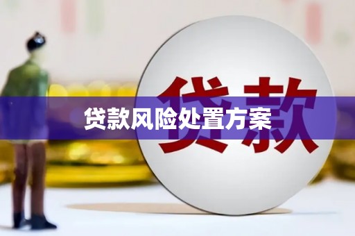 米东贷款风险处置方案
