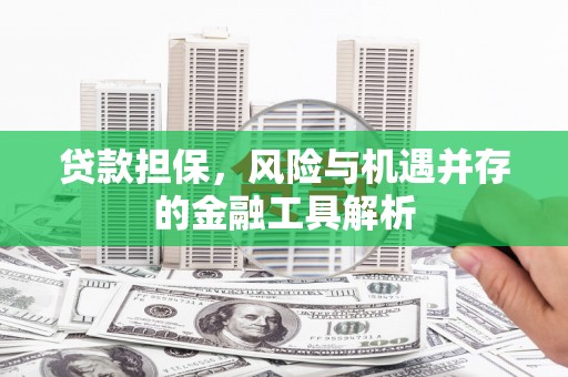 米东贷款担保，风险与机遇并存的金融工具解析