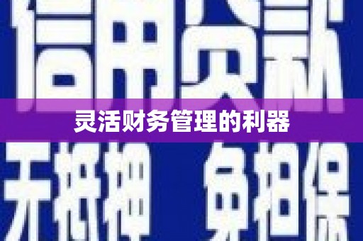 米东灵活财务管理的利器