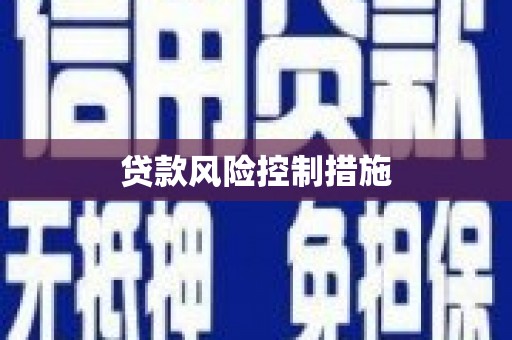米东贷款风险控制措施