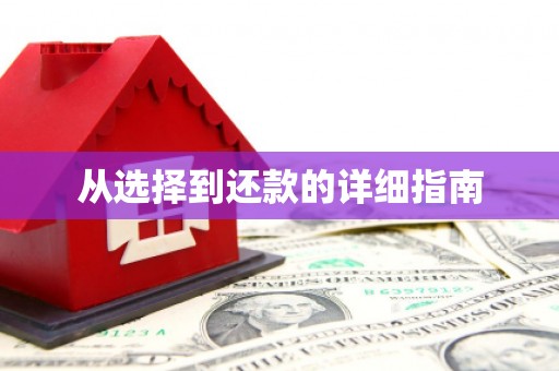 米东从选择到还款的详细指南