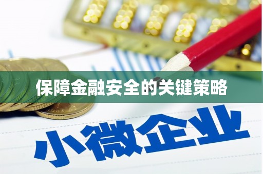 米东保障金融安全的关键策略