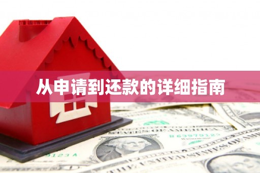 米东从申请到还款的详细指南