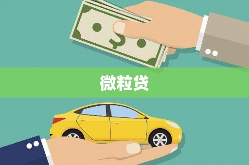 米东微粒贷