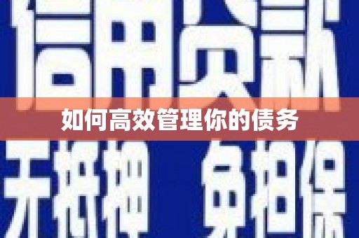 米东如何高效管理你的债务
