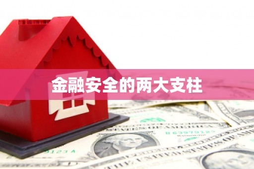 米东金融安全的两大支柱