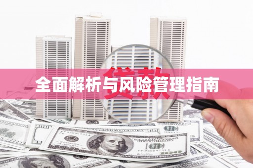 米东全面解析与风险管理指南