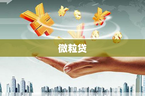 米东微粒贷