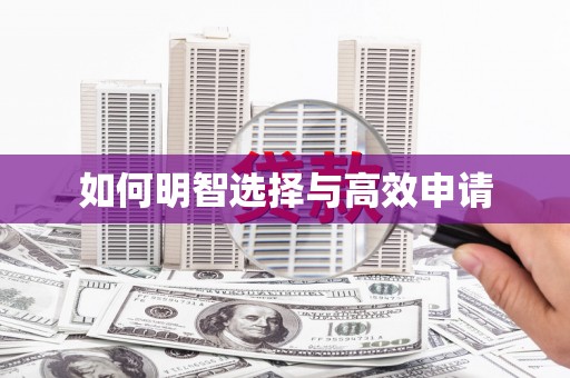 米东如何明智选择与高效申请