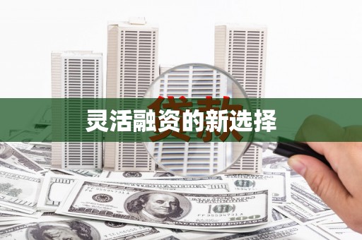 米东灵活融资的新选择