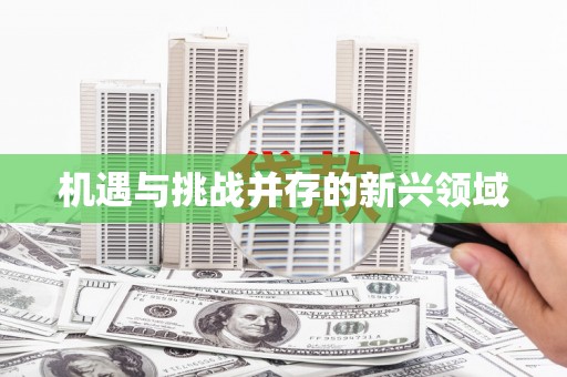 米东机遇与挑战并存的新兴领域
