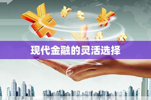 米东现代金融的灵活选择