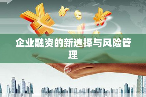 米东企业融资的新选择与风险管理