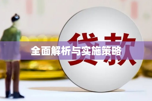 米东全面解析与实施策略