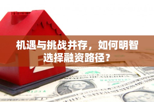 米东机遇与挑战并存，如何明智选择融资路径？
