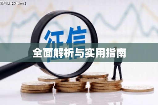米东全面解析与实用指南