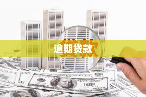 米东逾期贷款