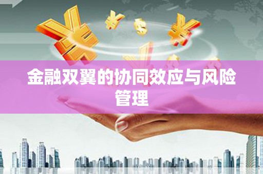 米东金融双翼的协同效应与风险管理