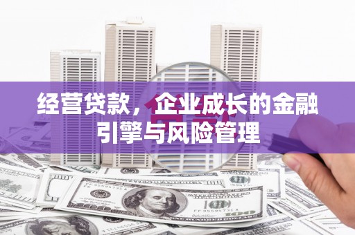 米东经营贷款，企业成长的金融引擎与风险管理
