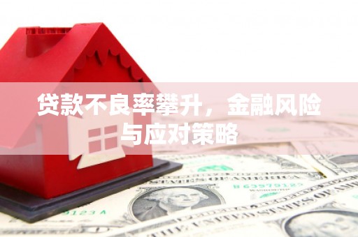 米东贷款不良率攀升，金融风险与应对策略